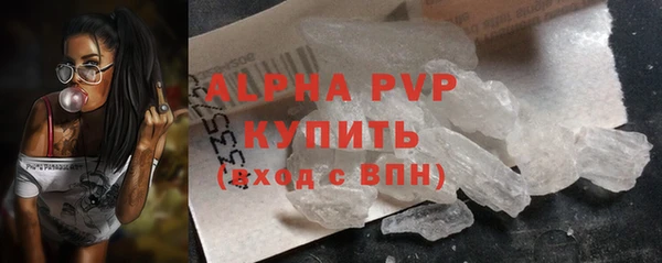 стаф Тобольск