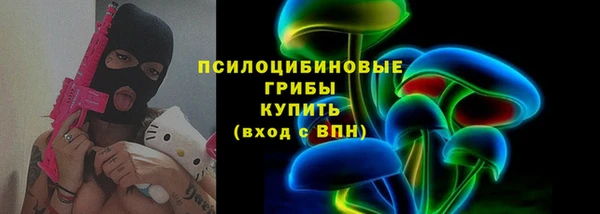 spice Козловка