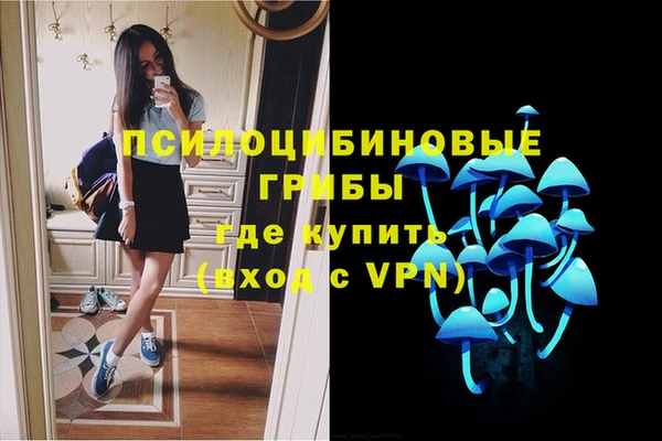ECSTASY Тихвин
