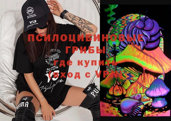 трава Наволоки