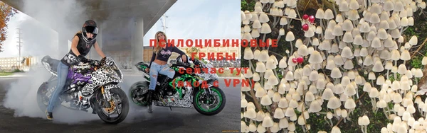 трава Наволоки