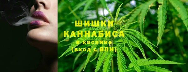 apvp Надым