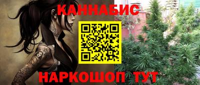 мдпв Гатчина