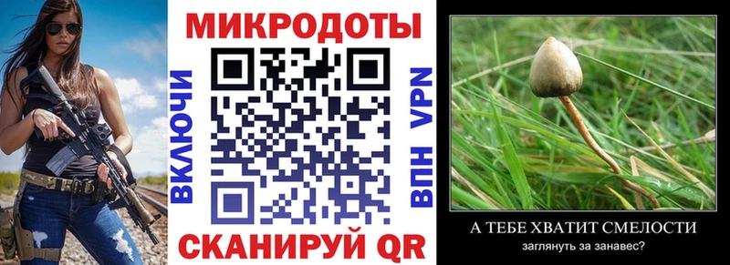 omg ТОР  где продают   Нерюнгри  Псилоцибиновые грибы Cubensis 