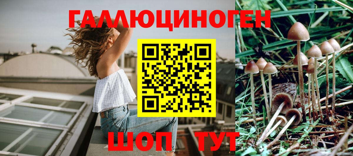 Галлюциногенные грибы Magic Shrooms  Вход с VPN  дарнет шоп  Нерюнгри 